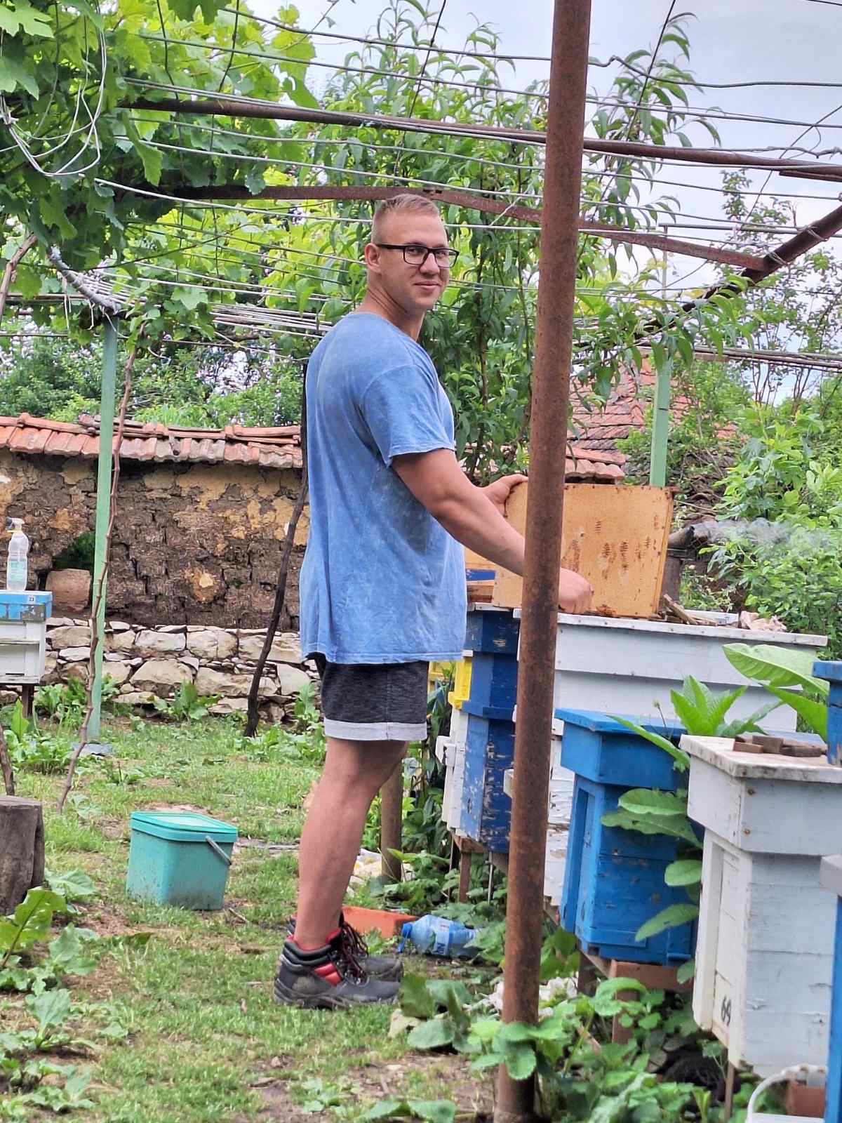 мистър монтана