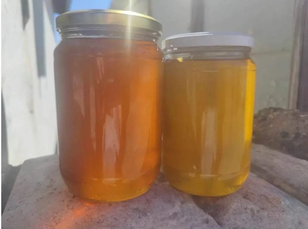 мистър монтана