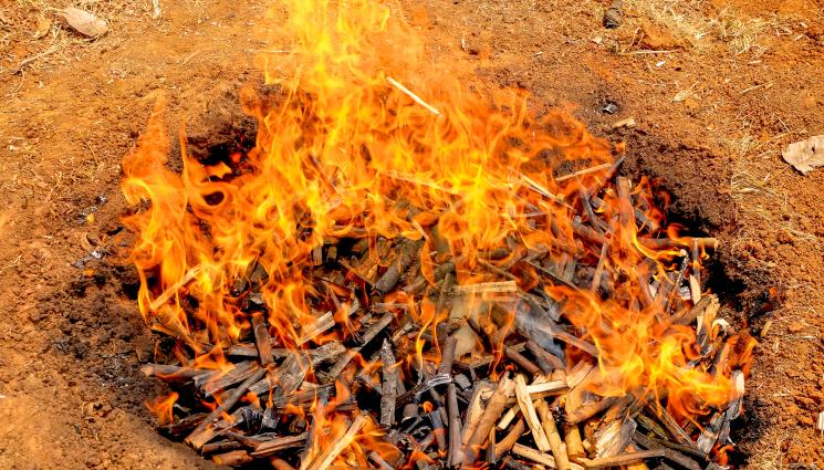 биовъглен - АГРО ТЕЛЕГРАФ: Биовъгленът подобрява почвата за вечни времена