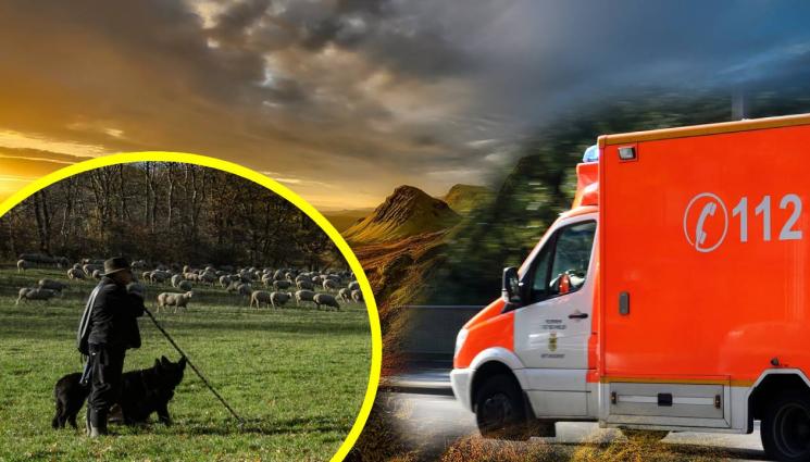 овчар 112 - ГАВРА СЪС 112: Лъжлив овчар прати спасителите за зелен хайвер в балкана