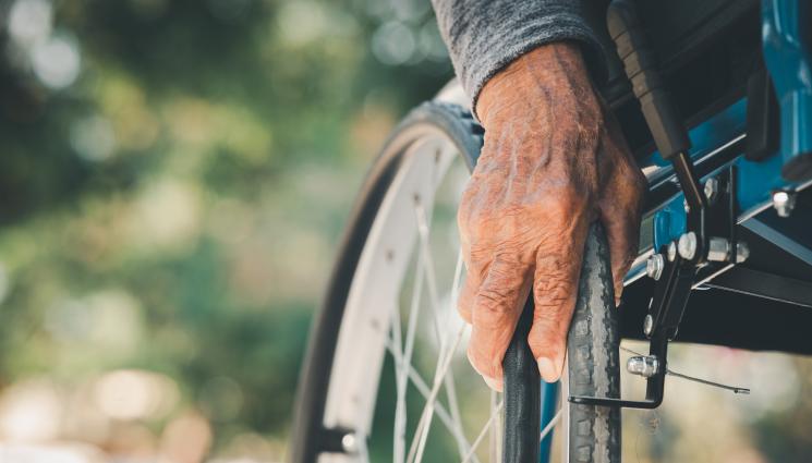 платена публикация - Нова дългосрочна грижа за възрастните и хората с увреждания и нагласите на обществото към тях