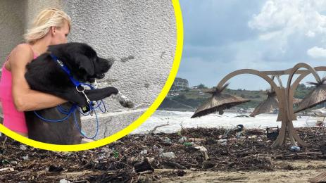 царево животни