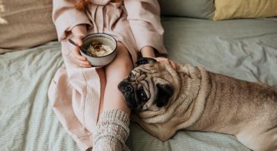 куче овесени ядки