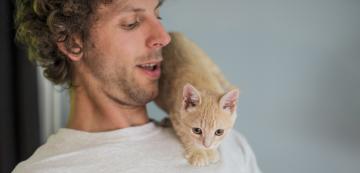 6 научни причини защо котките са толкова сладки