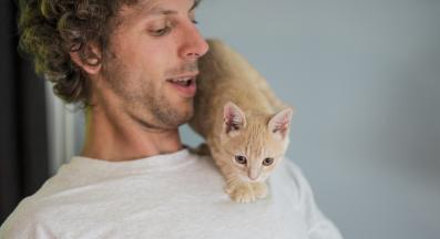 котка и собственик