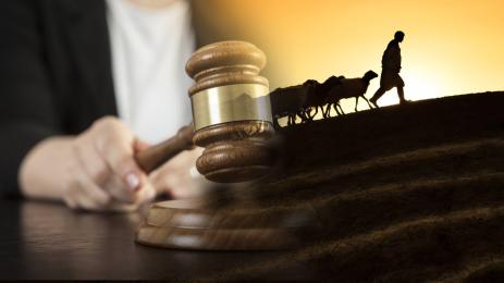 овчар присъда