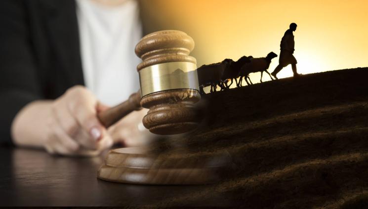 овчар присъда - ДА БИ МИРНО СЕДЯЛО...: Оставиха на топло лъжливото овчарче