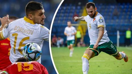 Делев Боруков