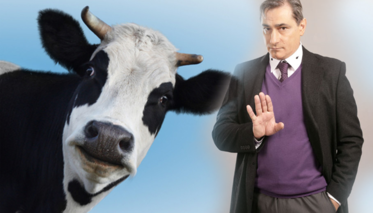 Христо - ИЗНЕВИДЕЛИЦА: Христо Гърбов се натресъл в крава