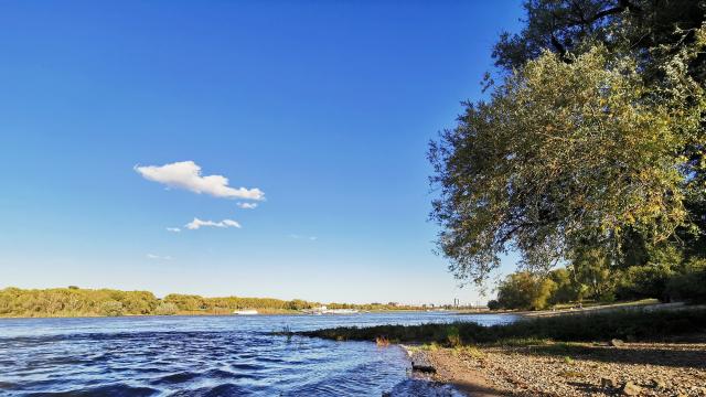 Румънец плува 48 дни по река Рейн, за да подкрепи интеграцията на страната в Шенген