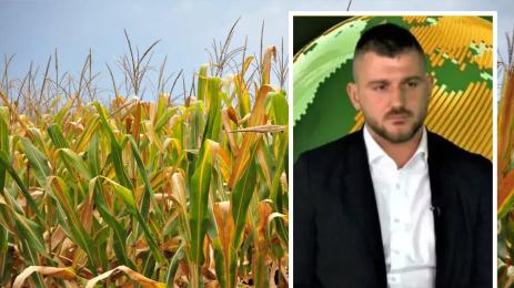 Илия Проданов