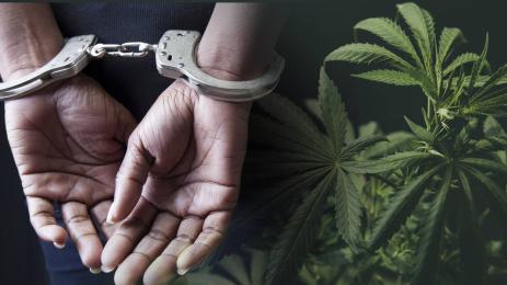 арестувана марихуана