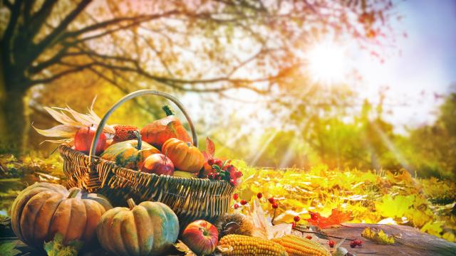 Храните, които подобряват имунитета ни през есента