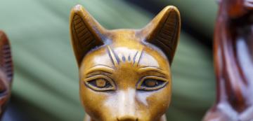 Защо египтяните за почитали котките