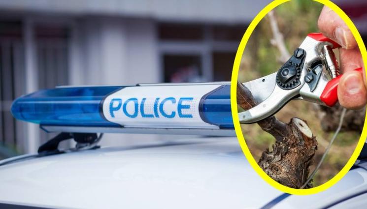 полиция - ВАНДАЛСКИ АКТ: Мъж изряза с лозарска ножица 15 новозасадени туи