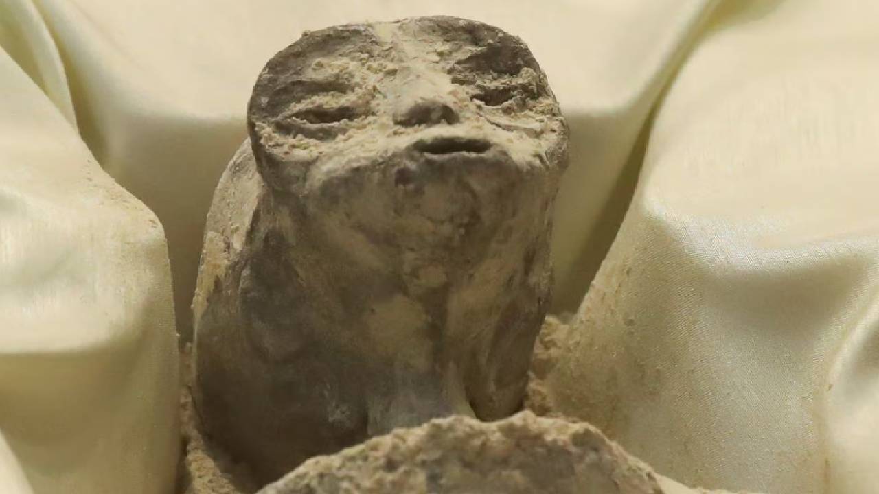 маг зодиак