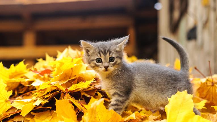  Седмичен хороскоп за 18 - 24 септември 