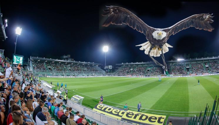 Лудогорец Разград орел орлица - Ще отлети ли в бразилски колос звезда на Лудогорец?