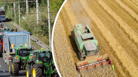 зърнопроизводителите