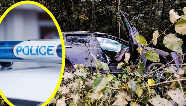 катастрофа - РАЗМИНА СЕ ЛЕКО: Неопитен младок се заби в храстите