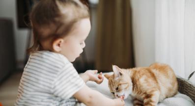 котка и малко дете