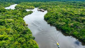 Заради сушата в Бразилия нивото на река Амазонка падна до