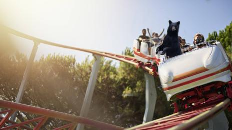 мечка влакче