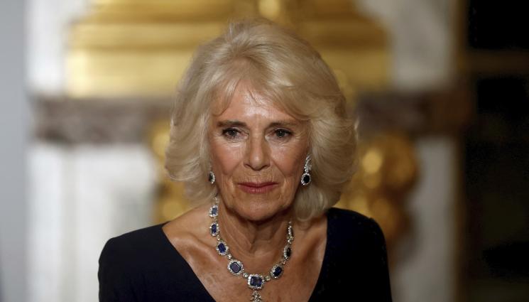 Крал Чарлз Камила Макрон - МОНАРХИЯТА СЕ РАЗПАДА: И кралица Камила грохна, взе си болничен!