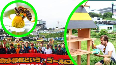 Себестиан Фетел