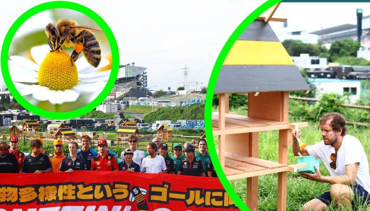 Себестиан Фетел - Фетел поде акция за защита на пчелите преди Гран при на „Сузука“ във Формула 1