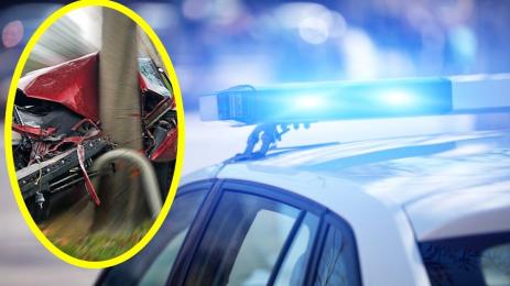 катастрофа дърво