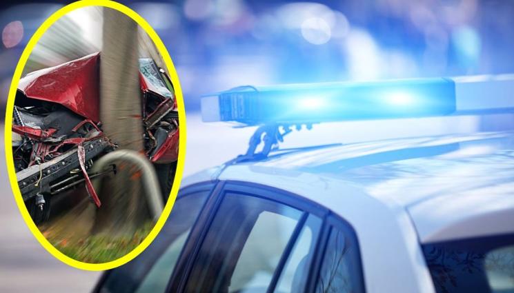 катастрофа дърво - ЗРЕЛИЩНА КАСКАДА: Девойка се заби в мантинела и събори дърво на спирка (СНИМКИ)