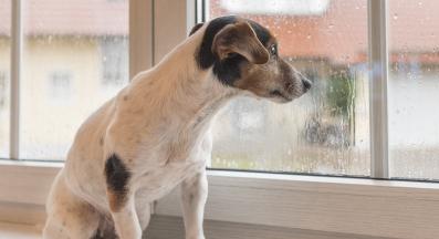 куче гръмотевици