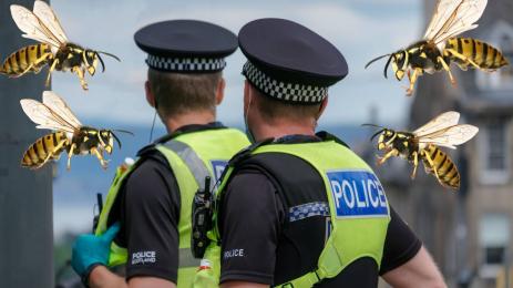 оси полицаи