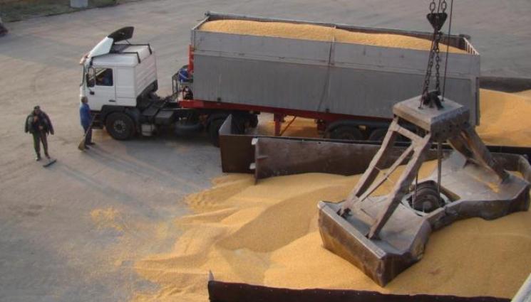 зърно - Изнасяме зърно, внасяме слънчоглед