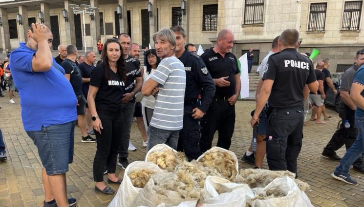 овцевъди протест - Агро Телеграф: Животновъдите без помощи заради мандрите