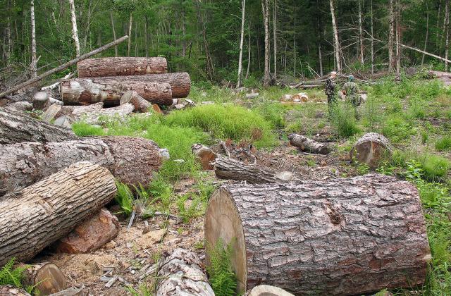 Министърът на земеделието даде указание да бъде намалена с 20%