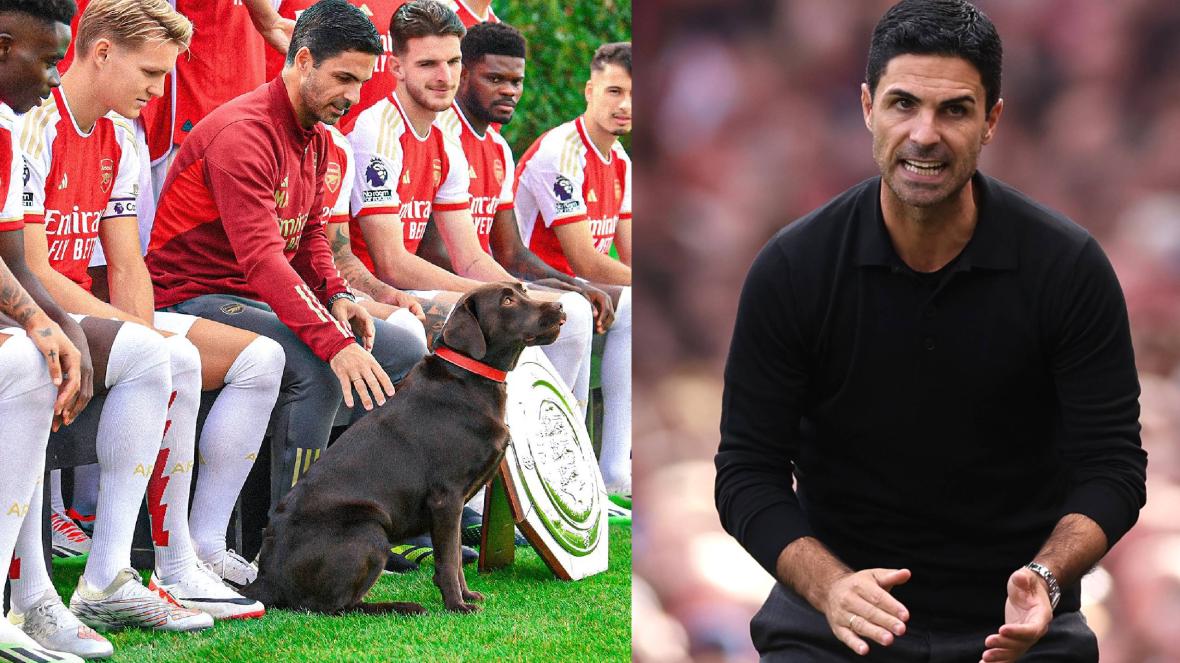 Артета Арсенал куче кучка