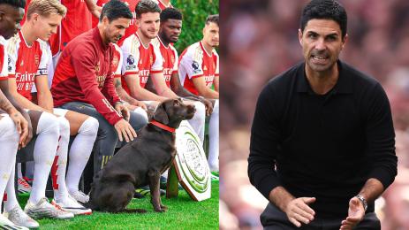 Артета Арсенал куче кучка