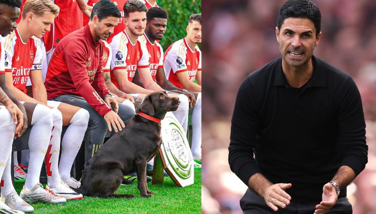 Артета Арсенал куче кучка - Кучката на Арсенал: Артета сваля стреса на футболистите си с пес в съблекалнята