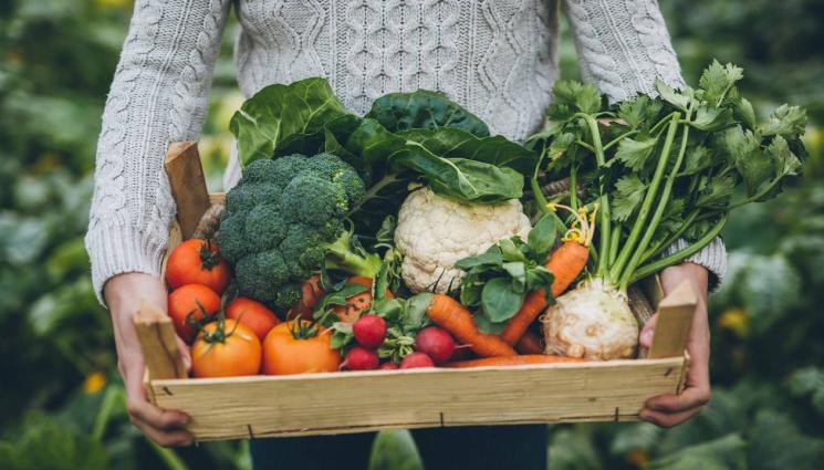 агро - Агро Телеграф: Селско имение с наколни жилища обра овациите в Европа