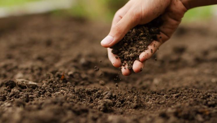 почва - Агро Телеграф: Студ и сняг, после топло