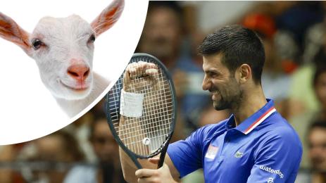 Новак Джокович