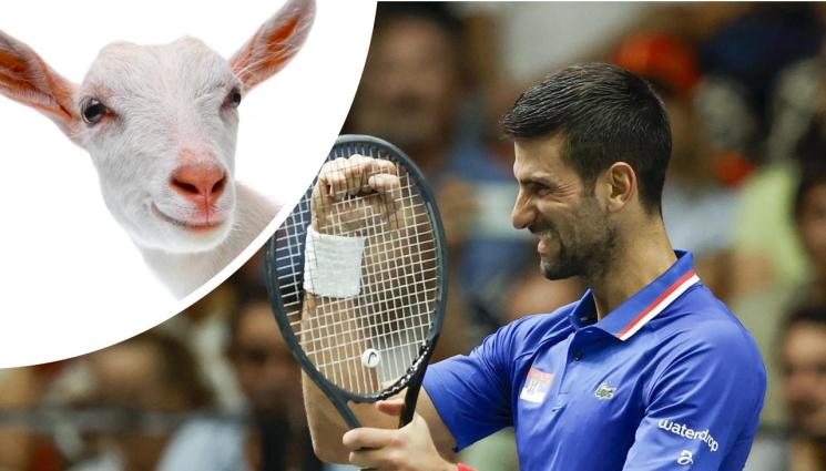 Новак Джокович - Ноле яхна кон и си игра с коза