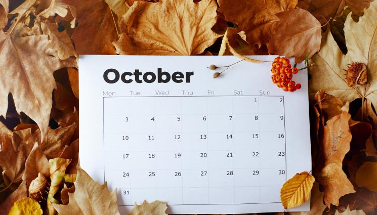 октомври - ЧУДЕСА И ВЯРА: Десетки хиляди черпят на Димитровден