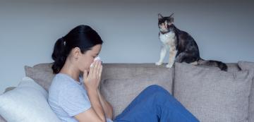 7 признака, че имате алергия към котката си