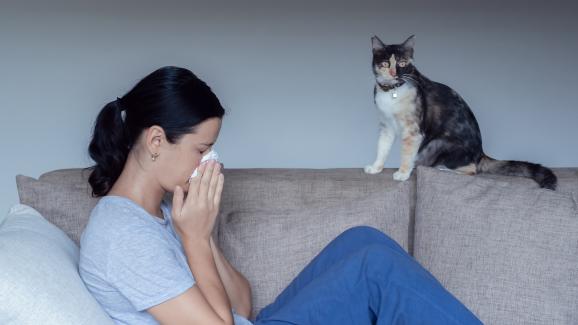 7 признака, че имате алергия към котката си
