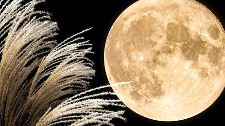 Жътварска луна