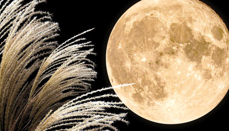 Жътварска луна - ИЗГРЯВА „ЖЪТВАРСКАТА ЛУНА“: Медитирайте, отдайте се на творчество!