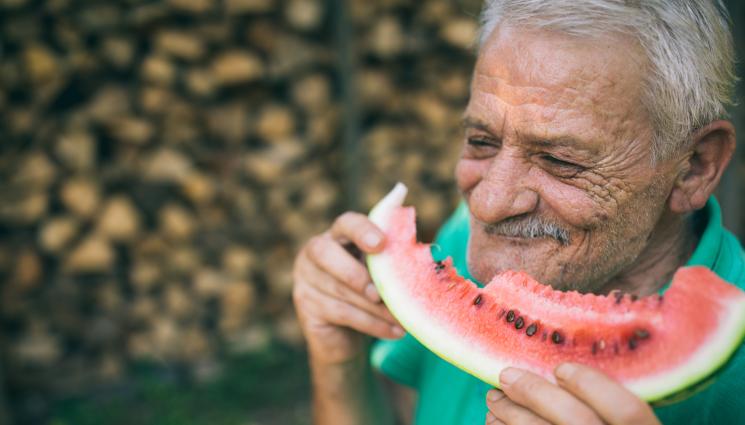 диня - ЗЛАТНО ВРЕМЕ: Динята – вълшебният зеленчук
